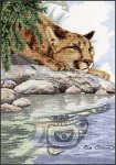 (image for) Cougar Reflection